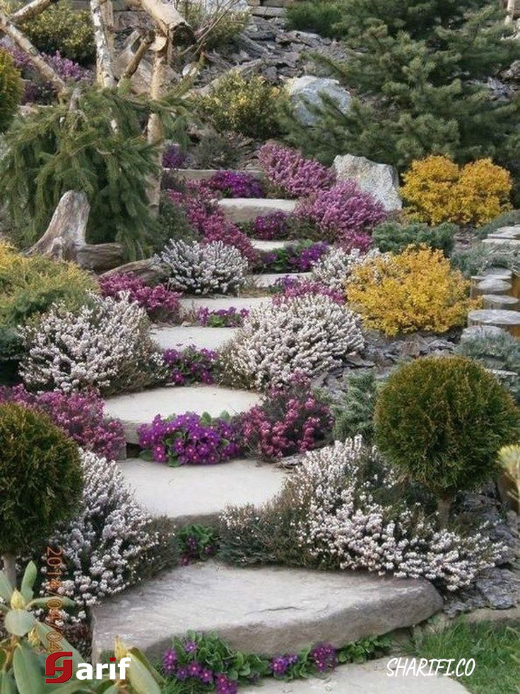 Landscape-Designer-one5-min طراحی فضای سبز